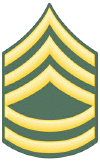 E-7_Sgt_First_Class.gif (34013 bytes)