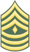 E-8_First_Sgt.gif (37268 bytes)
