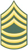 E-8_Master_Sgt.gif (36620 bytes)