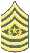 E-9_Cmd_Sgt_Major.gif (39537 bytes)