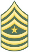 E-9_Sgt_Major.gif (37355 bytes)