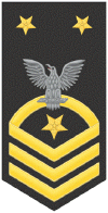 Fleet-Force Master Chief.gif (51655 bytes)