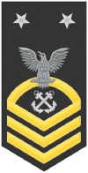 Master_Chief_Petty_Officer_12_Years_Good_Conduct.gif (56431 bytes)