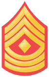 E-8_First_Sergeant.gif (50510 bytes)