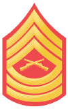 E-8_Master_Sergeant.gif (50897 bytes)