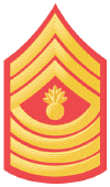 E-9_Master_Gunnery_Sergeant.gif (56755 bytes)