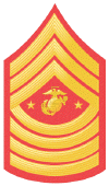 E-9_Sergeant_Major_of_the_Marine_Corps.gif (54331 bytes)