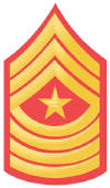E-9_Sergeant_Major.gif (56539 bytes)